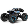 Remote Control High Speed Vehicle 2.4Ghz Electric RC Toys