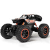 Remote Control High Speed Vehicle 2.4Ghz Electric RC Toys