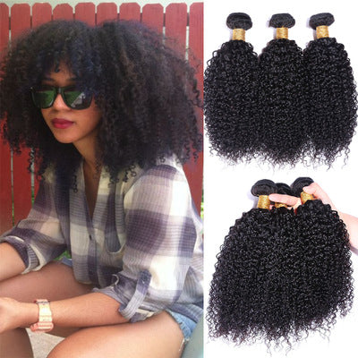Human hair curtains, kinky curly, real wigs, wholesale hair