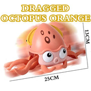 Dragged Octopus Oran