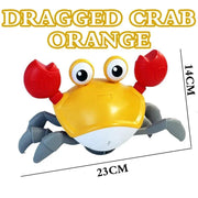 Dragged Crab Orange