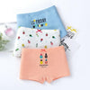 Girls Underwear Boxer Set